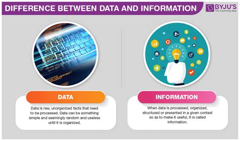 what are the examples of data and information