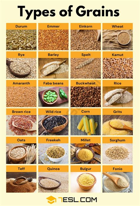 what are the examples of grain