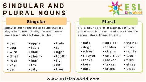 what are the examples of plural