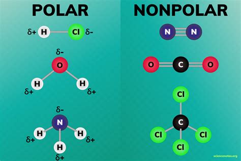 what are the examples of polar molecules