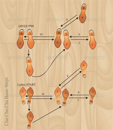 what are the four basic steps in the cha cha cha