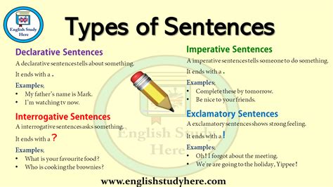 what are the four types of sentences explain with one example for each