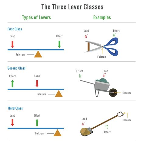 what are the functions of a lever