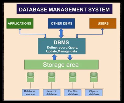 what are the main components of a database management system dbms and what do they do