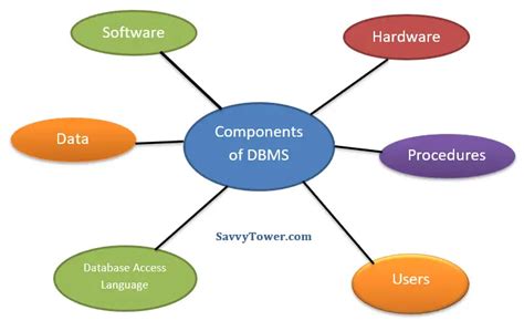 what are the main components of database management system dbms and what do they do