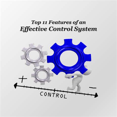 what are the main elements of effective control system