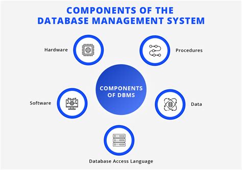 what are the major components of database management system