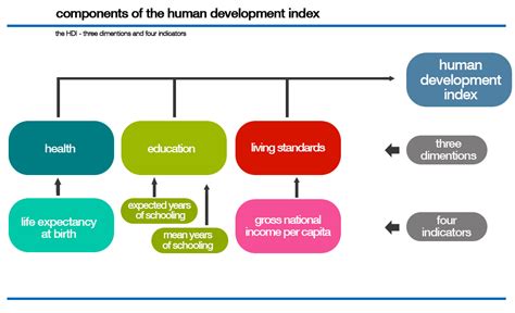 what are the major components of human development index