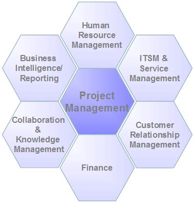 what are the modules in project management