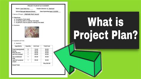 what are the parts of a project plan in tle
