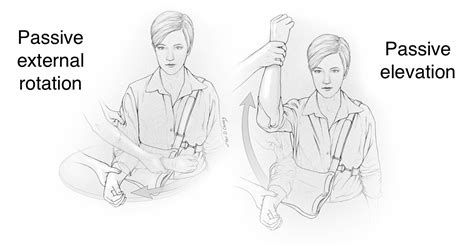 what are the passive rom exercises