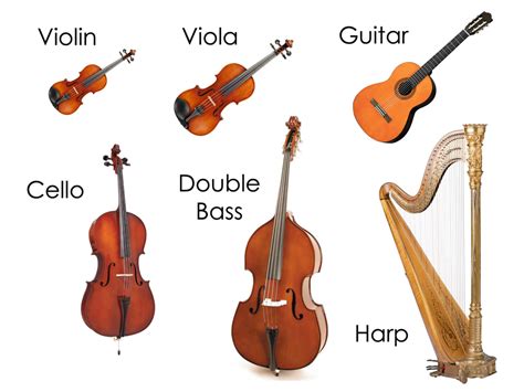 what are the string instruments in music