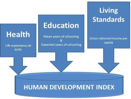 what are the three components of human development index