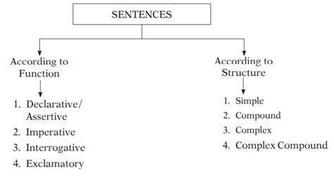 what are the three types of sentences based on their function in functional grammar