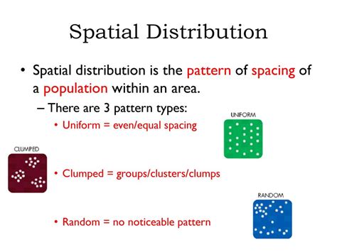 what are the three types of spatial distribution patterns
