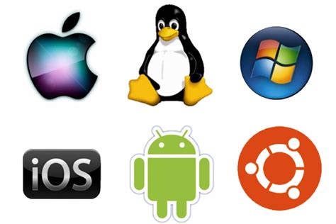 what are the two examples of operating system interface
