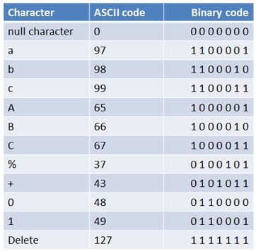 what are the two fundamental digits used in binary code