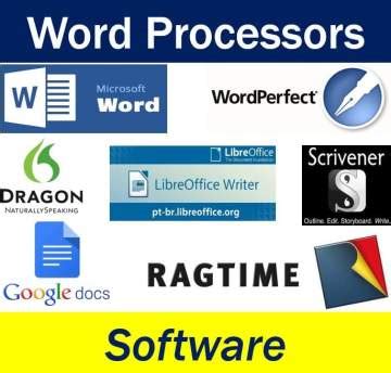 what are the two types of word processor