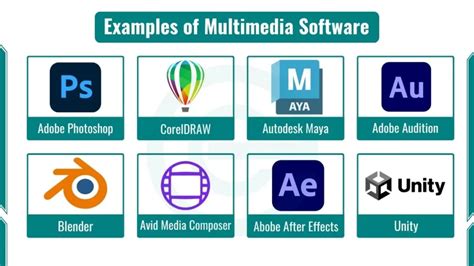what are the types of multimedia software explain