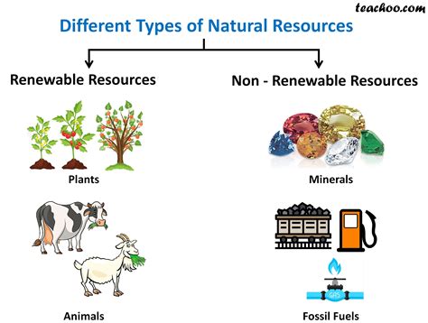 what are two examples of a natural resource