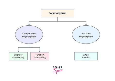 what are two types of polymorphism