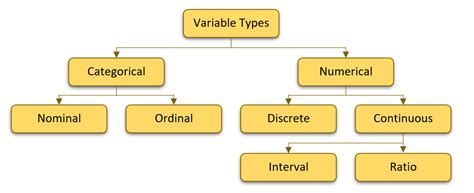 what are variable types in statistics