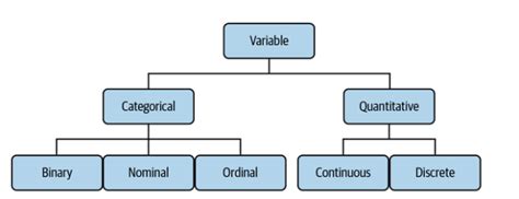 what are variables data types