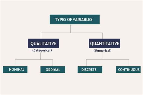 what are variables types