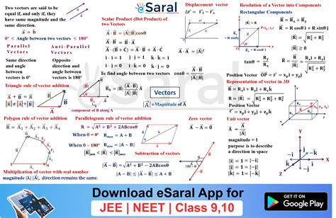 what are vectors in physics class 11