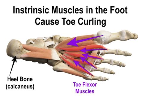 what causes involuntary toe curling