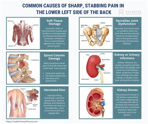 what causes sharp pain in lower back left side