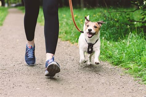 what causes stumbling when walking