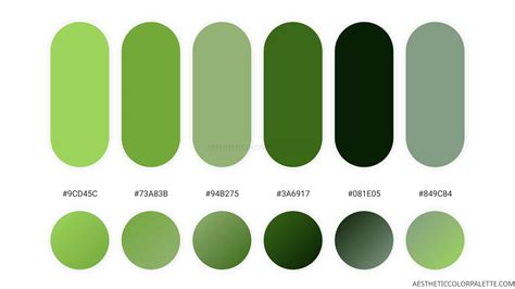 what color is grass hex code