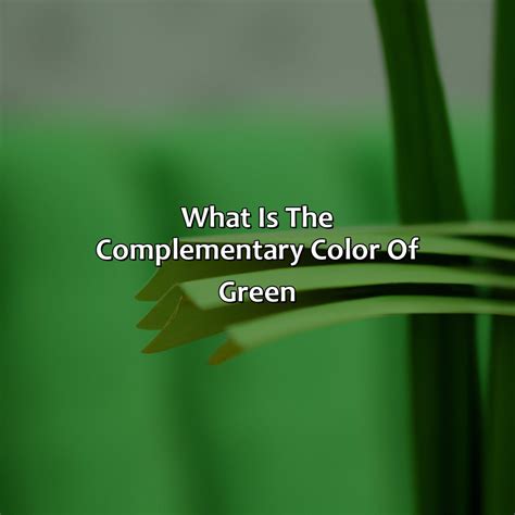 what colour is complementary to green
