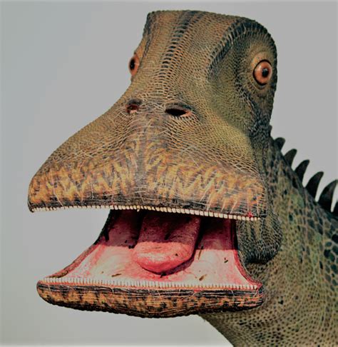 what dinosaur has 500teeth