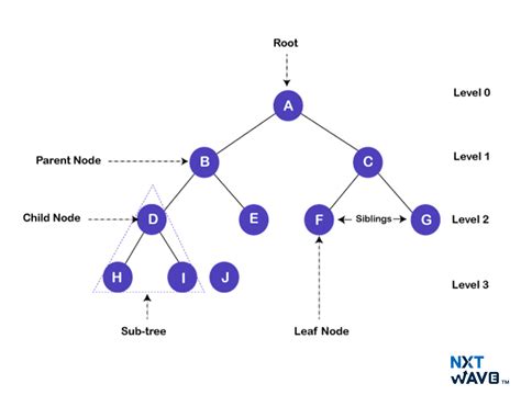 what do you mean by non linear data structure give example