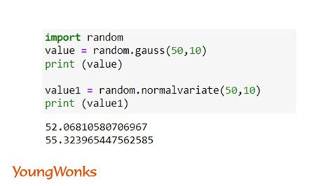 what do you mean by random module in python