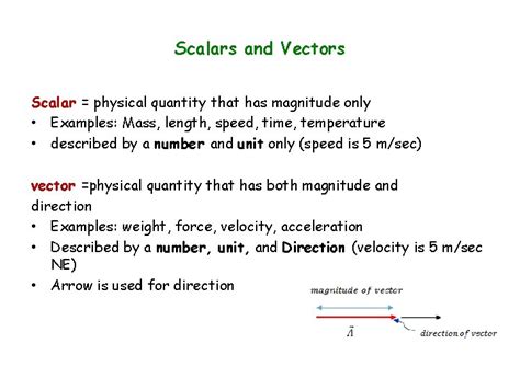 what do you mean by vector quantity in physics