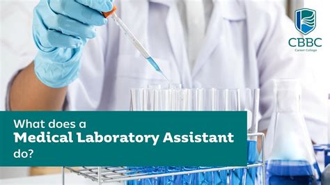 what does a lab assistant do in a hospital