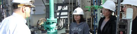 what does a process plant operator do