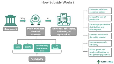 what does a subsidy do