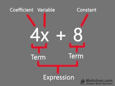 what does a term mean in math