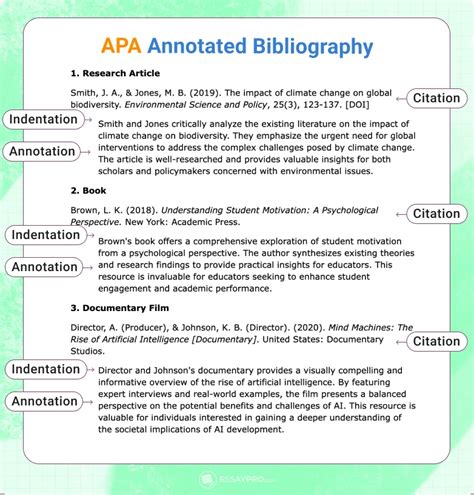 what does an annotated bibliography in apa format look like