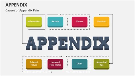 what does an appendix look like in a powerpoint presentation