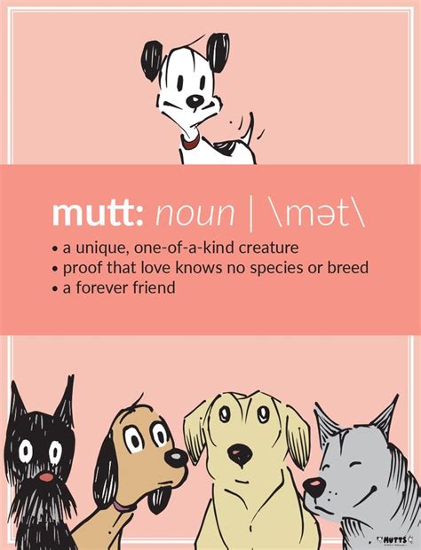 what does being a mutt mean