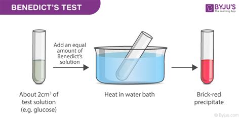 what does benedict's solution detect
