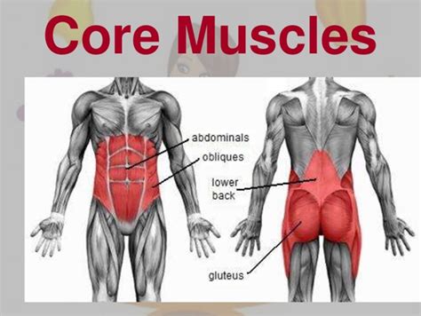 what does core training mean