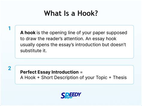 what does hook means in essay example