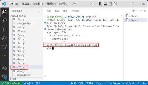 what does invalid decimal literal mean in python