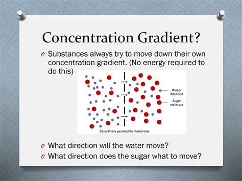 what does it mean to move down a concentration gradient